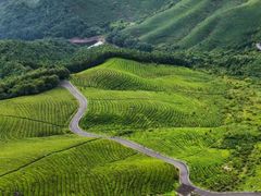 -莫干山风景区