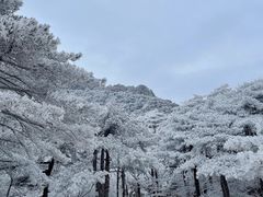 -黄山风景区