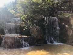 -广州市帽峰山景区