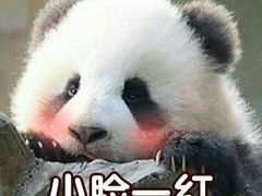 -黑草莓(重庆路店)