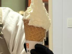 -野人先生现做冰淇淋(北京顺义祥云小镇店)