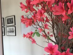 -瓦库茶馆17号(海汇港店)