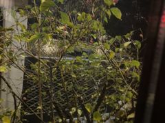 -瓦舍茶馆(聚源路店)