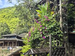 -林坑古村落