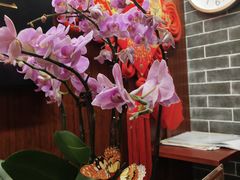 -裕和堂中医推拿艾灸(太古汇臻品店)