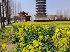 -皇罗禅寺