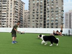-AIRPARK爱野屋顶运动公园