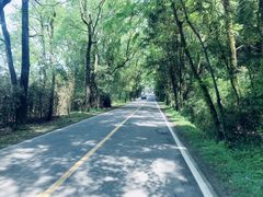 -武夷山风景名胜区-玉女峰