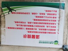 -天鹿湖森林公园