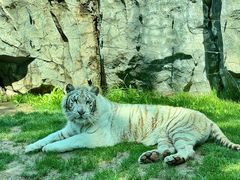 -北京野生动物园