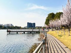 -美兰湖景区
