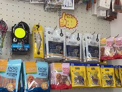-乐琪宠物医院·犬猫专科·骨外科·急重症