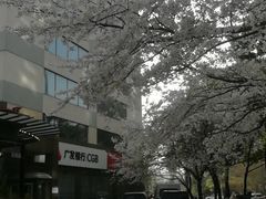 -玛格萝妮比萨屋(四平店)