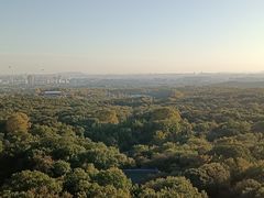 -灵谷景区