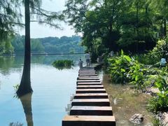 -重庆彩云湖湿地公园