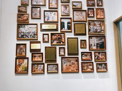 -佐罗家宠物馆·猫文化馆(紫霞路店)