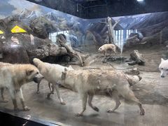 -西安曲江海洋极地公园