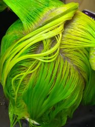 -雅仕 HAIR SALON 美发沙龙