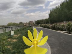 -丁香湖公园