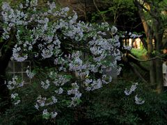 -中国茶叶博物馆(双峰馆区)