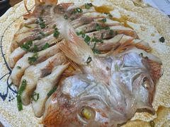 -九井澤精致料理(金茂店)