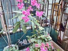 -厝包四点金·潮宴(太古仓店)