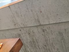 -小飞生煎(东方宝泰店)