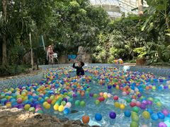 -龙熙温泉水世界