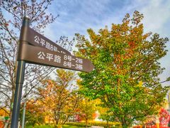 -北外滩滨江绿地