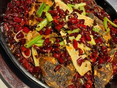 -老板恋上鱼(高新万达店)