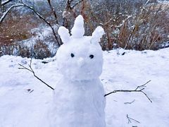 -西岭雪山大飞水景区