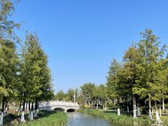 -映月湖公园