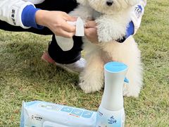 -上海神旺大酒店