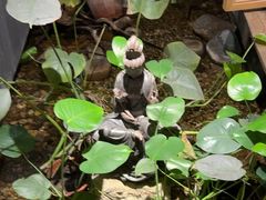 -邈墨茶馆(江南星座1店)