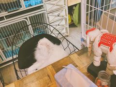 -小时光咖啡馆(北锣鼓巷店)