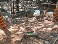 -昆明动物园