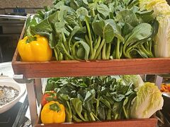 -百香自助餐厅·西安唐隆国际酒店(曲江店)