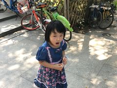 -小洲村