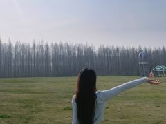 -黄海国家森林公园