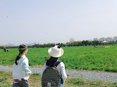 -汉长安城未央宫国家考古遗址公园