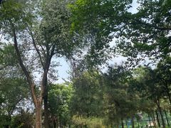 -庄怡公园