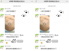 -趣玩宠物乐园寄养训犬训狗游泳池