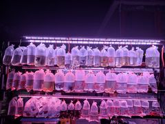 -华声天桥民俗文化园