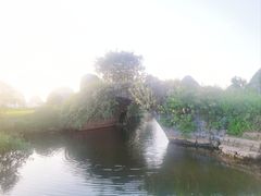 -会仙湿地