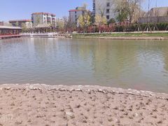 -西海子公园