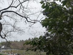 -灵顺寺