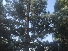 -秦始皇帝陵博物院-丽山园
