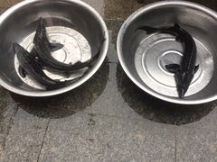 -何适山庄 ·可团建(水长城P2停车场店)