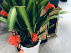 -有红鸡毛店·川菜(建设路店)