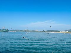 -海驴岛(荣成市)